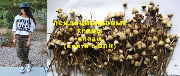 гашишное масло Снежногорск